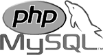 Spezialisiert auf PHP / SQL